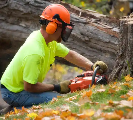 tree services Quogue